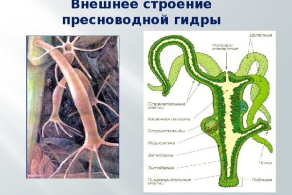 Кракен даркнет v5tor cfd